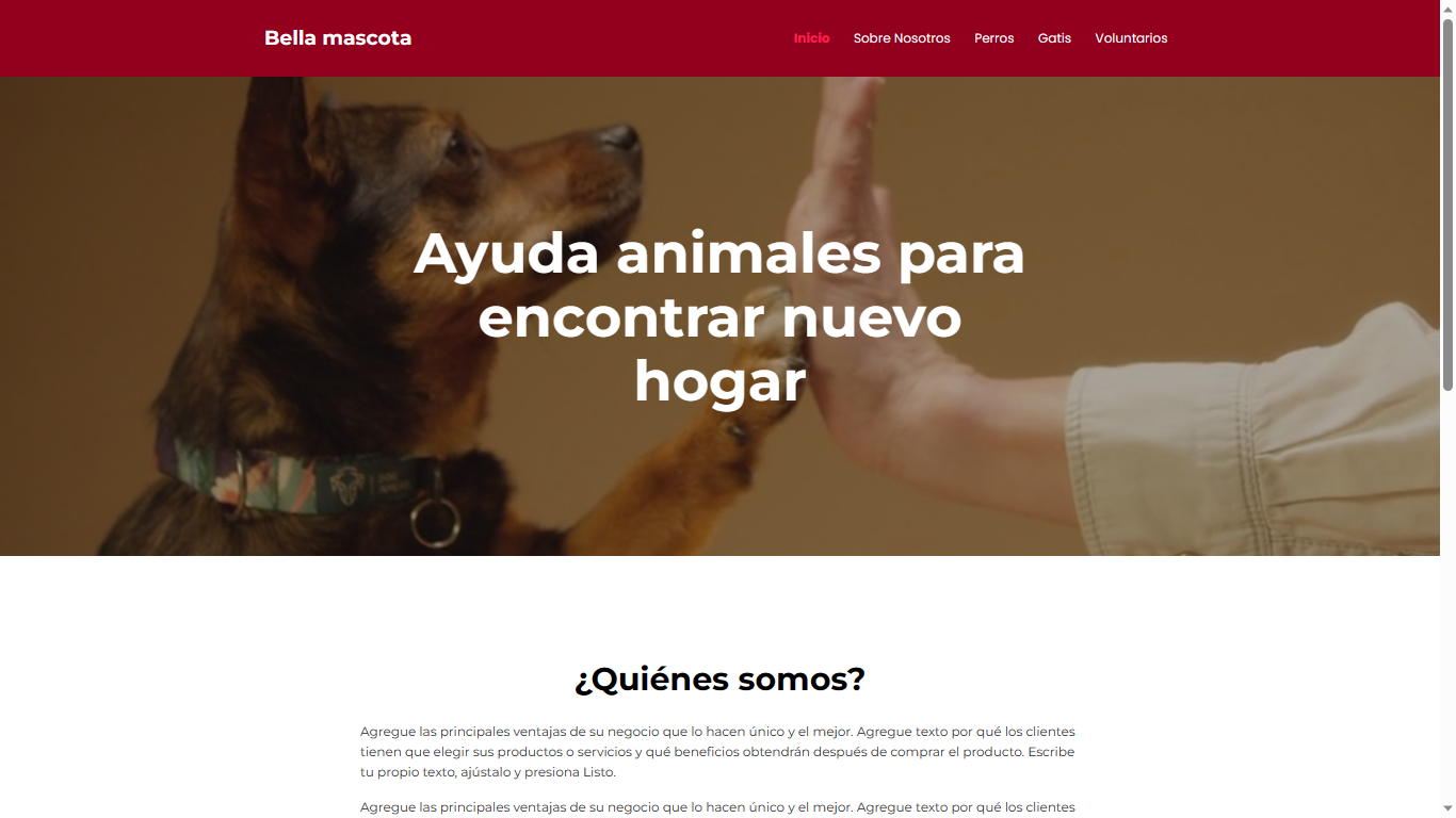 Diseño web 4
